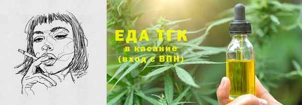 молекула духа Новозыбков