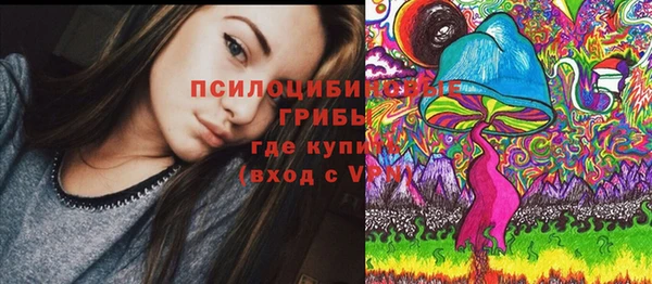 синтетический гашиш Новодвинск