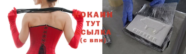 крисы Новокубанск