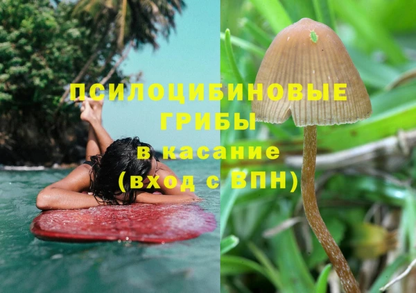 крисы Новокубанск