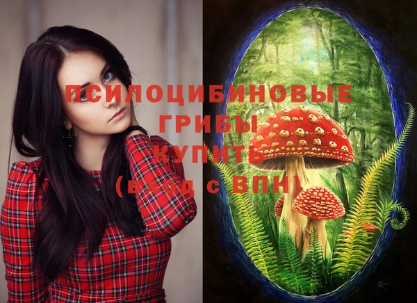 меф Нефтегорск