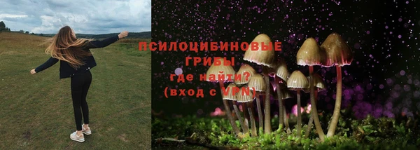 молекула духа Новозыбков