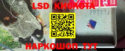 крисы Будённовск