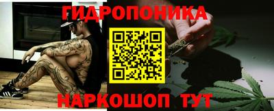 крисы Будённовск