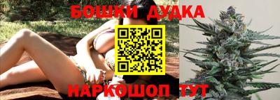 крисы Будённовск