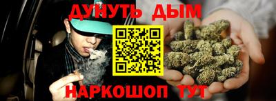 крисы Будённовск