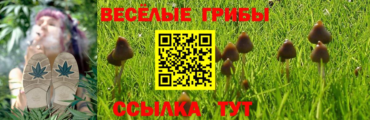 Галлюциногенные грибы GOLDEN TEACHER  Арсеньев 